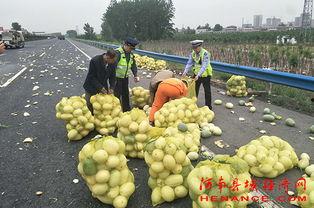 朝阳吃瓜群众许昌,揭秘京城街头的热辣故事