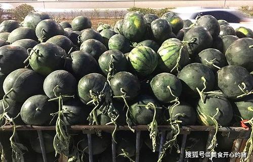 吴川麦子吃瓜,揭秘网络红人的瓜田生活