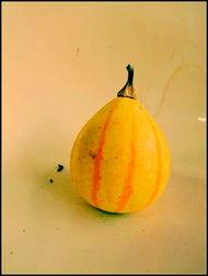 吃瓜侦探新沂,揭秘神秘事件背后的真相