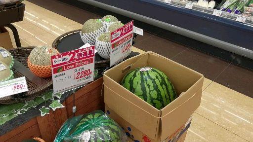 吃瓜奢侈的视频,一场视觉与味蕾的双重盛宴